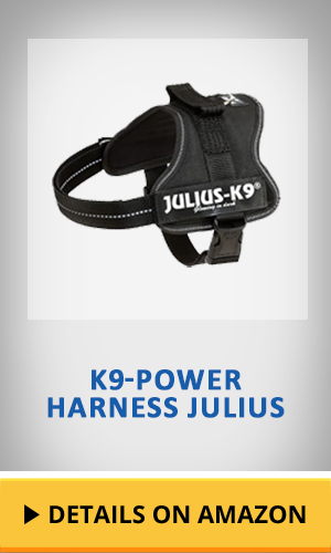 K9 powerharness Julius featured