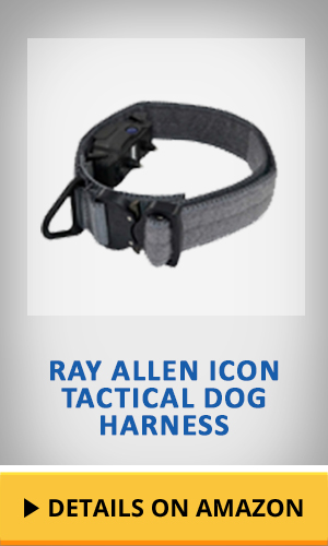 Ray Allen Icon Tactical Dog Harness featured