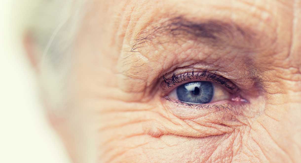 CBD HEMP For Wrinkles