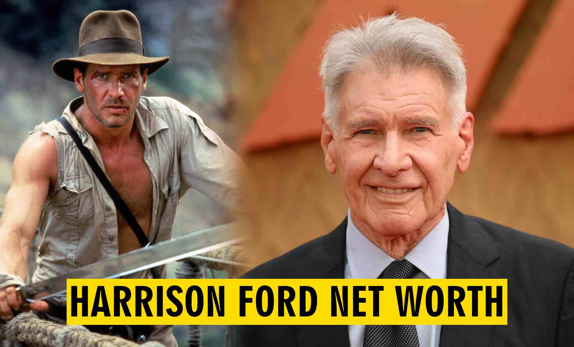 Harrison Ford Net Worth