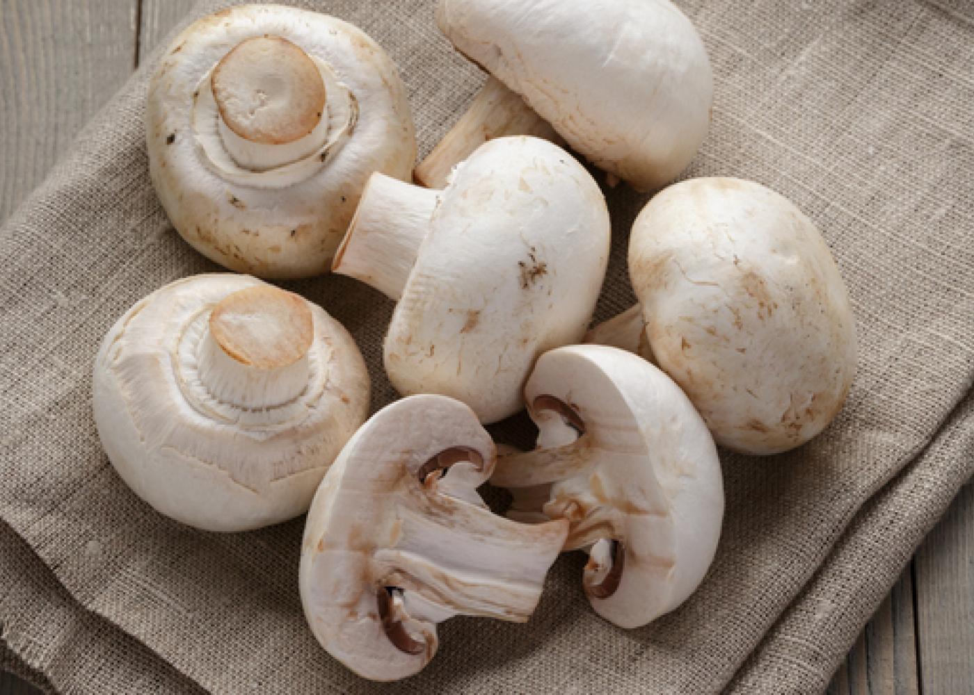 Health Benefits of Mashrooms