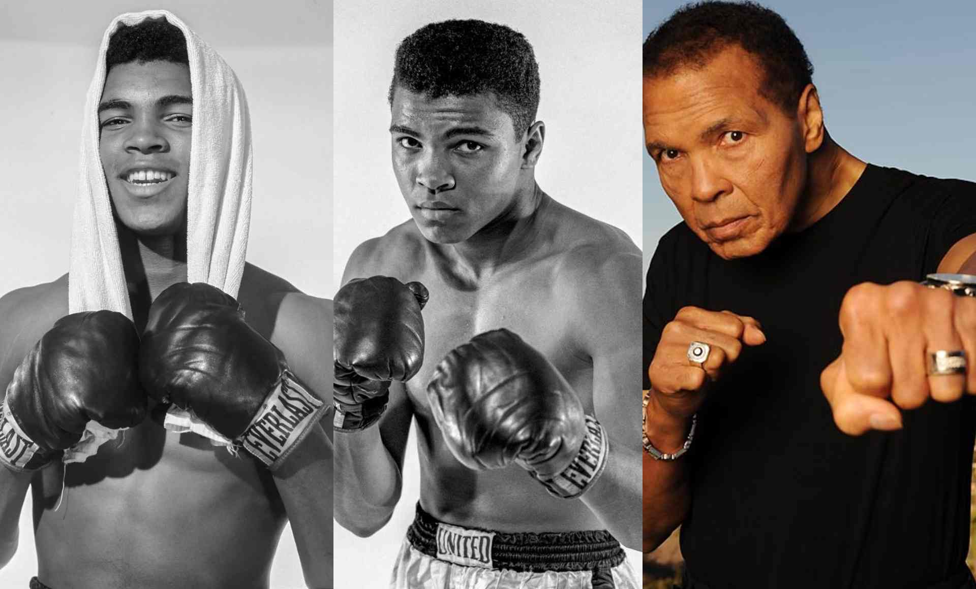 Muhammad Ali Net Worth