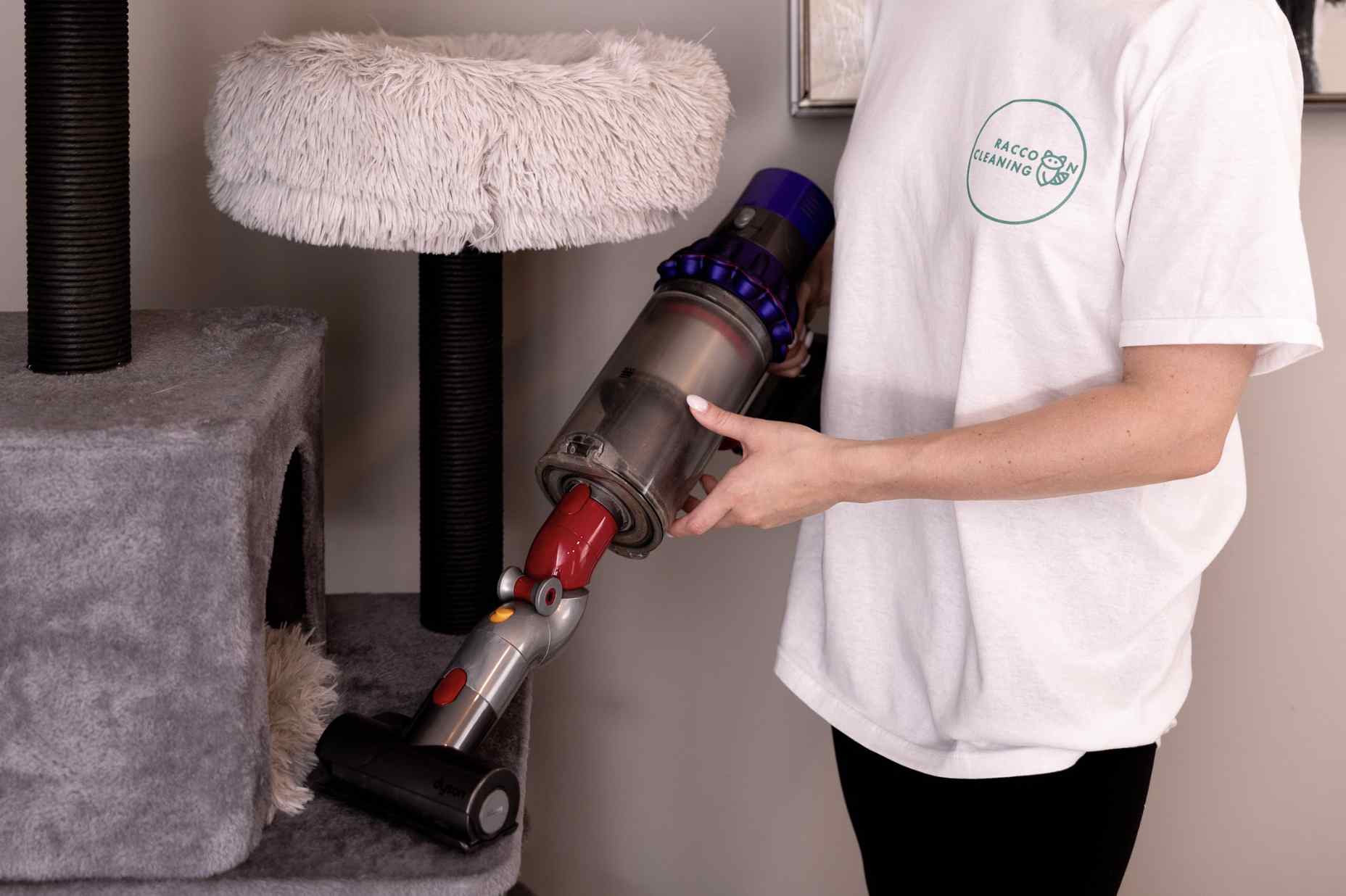 Six Ways to Reduce Pet Hair in Your Home