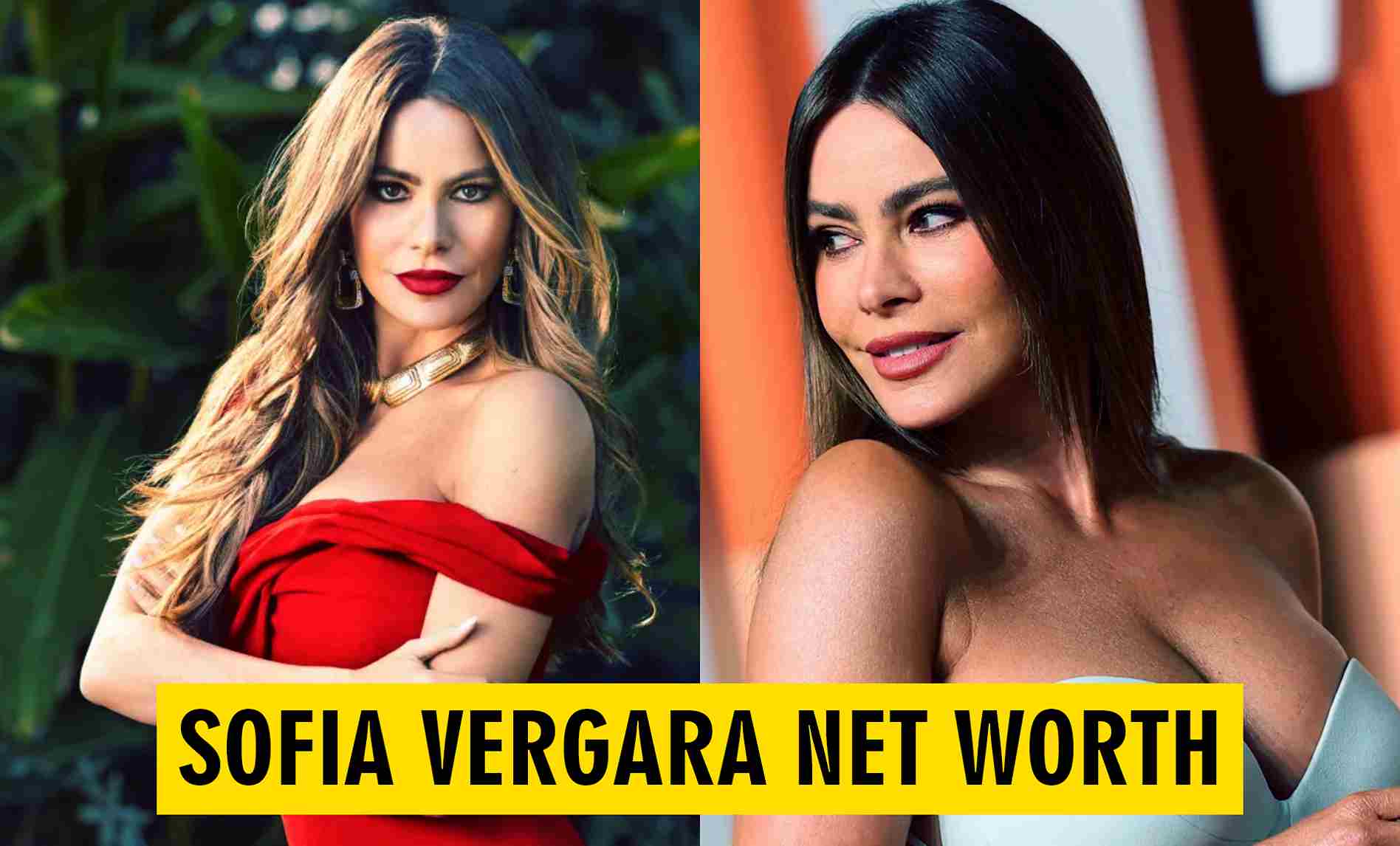 Sofia Vergara Net Worth