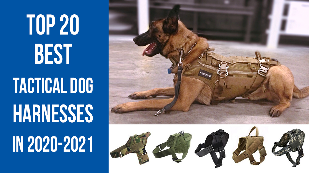 best tactical dog harnesses