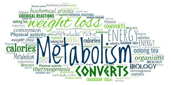 Ways to Boost Your Metabolism